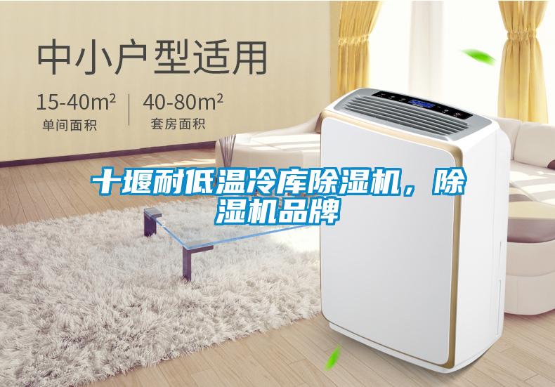 十堰耐低溫冷庫除濕機(jī)，除濕機(jī)品牌