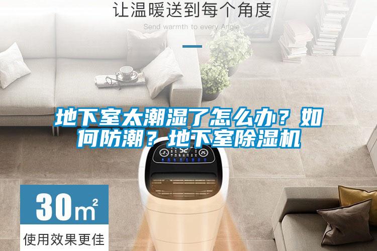 地下室太潮濕了怎么辦？如何防潮？地下室除濕機(jī)
