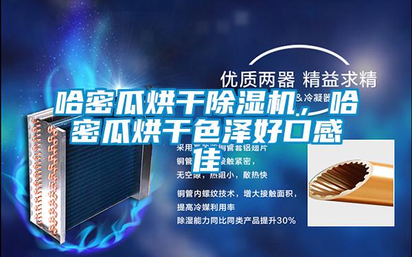 哈密瓜烘干除濕機(jī)，哈密瓜烘干色澤好口感佳
