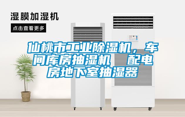 仙桃市工業(yè)除濕機(jī)，車(chē)間庫(kù)房抽濕機(jī)  配電房地下室抽濕器
