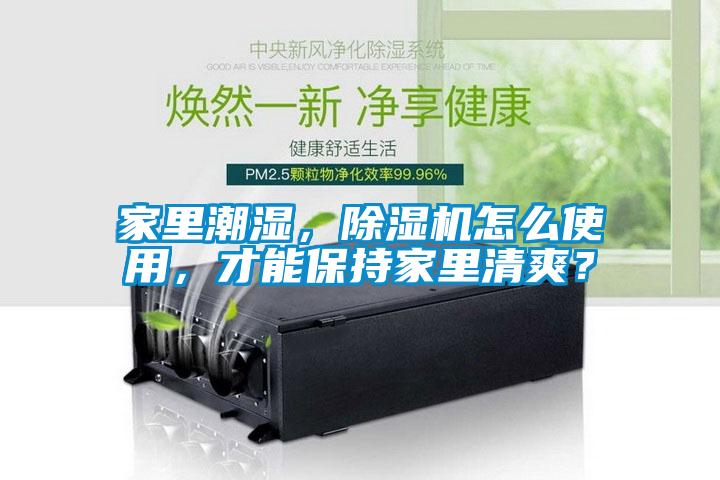 家里潮濕，除濕機(jī)怎么使用，才能保持家里清爽？