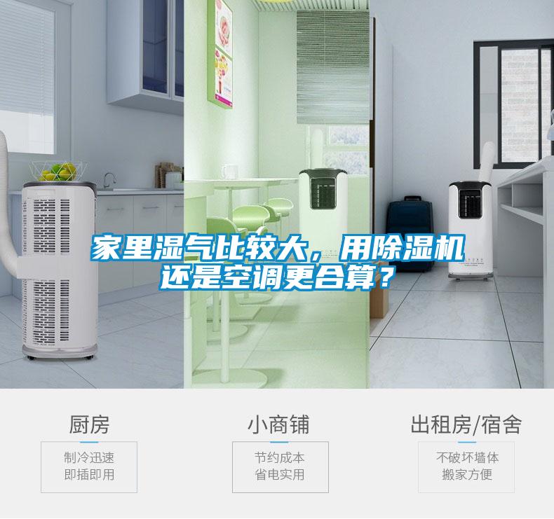 家里濕氣比較大，用除濕機還是空調(diào)更合算？