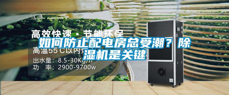 如何防止配電房總受潮？除濕機(jī)是關(guān)鍵