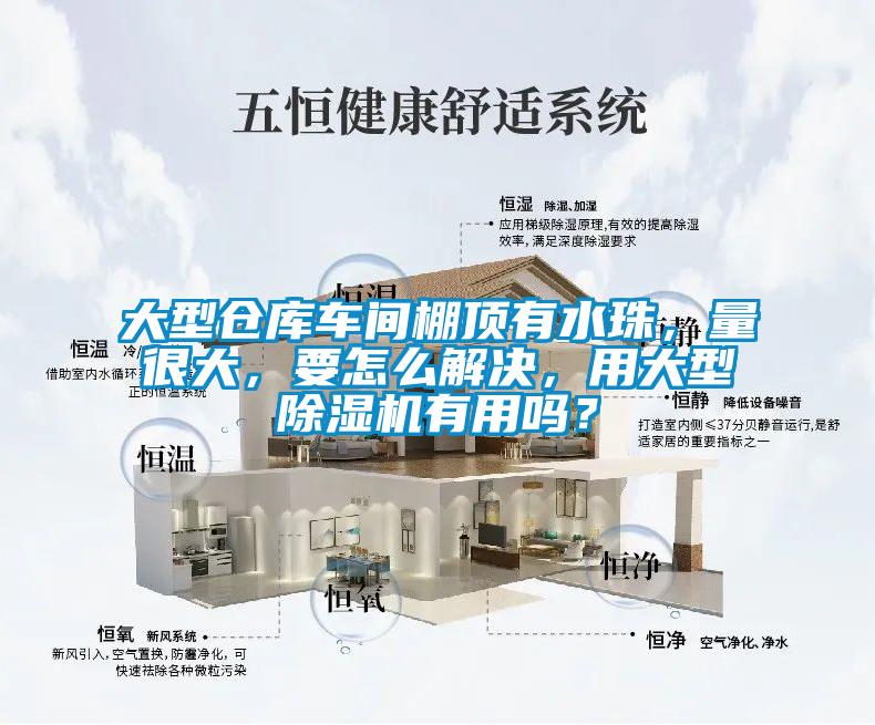 大型倉(cāng)庫(kù)車(chē)間棚頂有水珠，量很大，要怎么解決，用大型除濕機(jī)有用嗎？