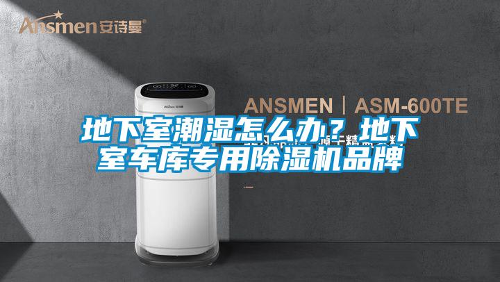 地下室潮濕怎么辦？地下室車庫(kù)專用除濕機(jī)品牌