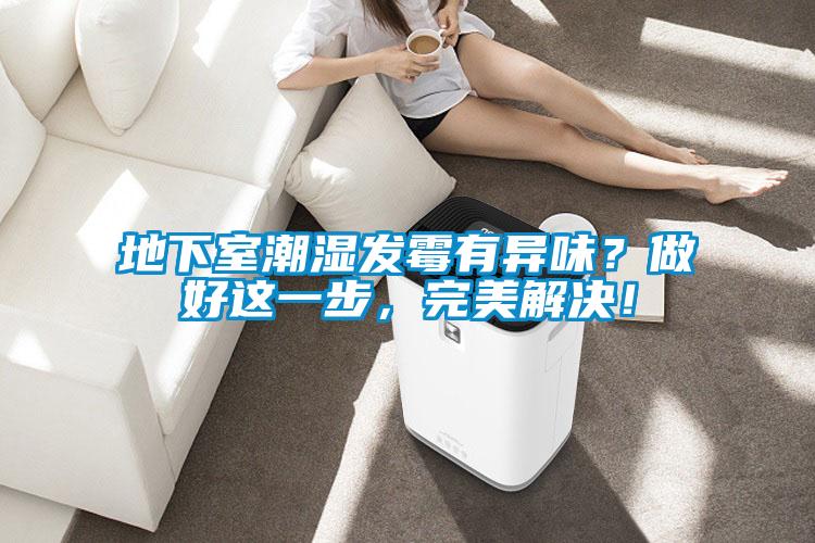 地下室潮濕發(fā)霉有異味？做好這一步，完美解決！