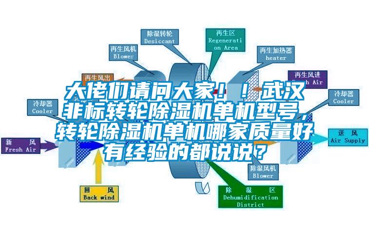 大佬們請問大家??！武漢非標轉輪除濕機單機型號，轉輪除濕機單機哪家質量好有經(jīng)驗的都說說？