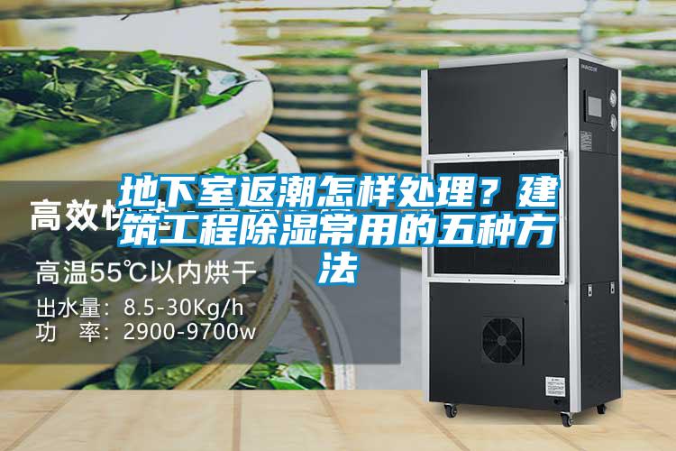 地下室返潮怎樣處理？建筑工程除濕常用的五種方法