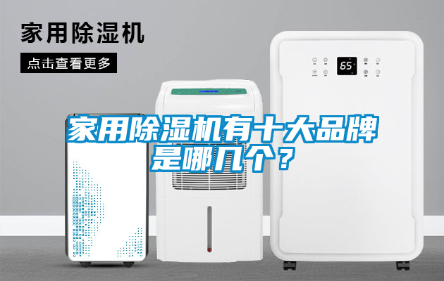 家用除濕機(jī)有十大品牌是哪幾個(gè)？