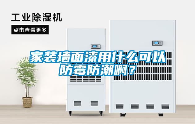 家裝墻面漆用什么可以防霉防潮??？