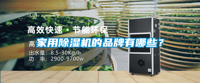 家用除濕機(jī)的品牌有哪些？