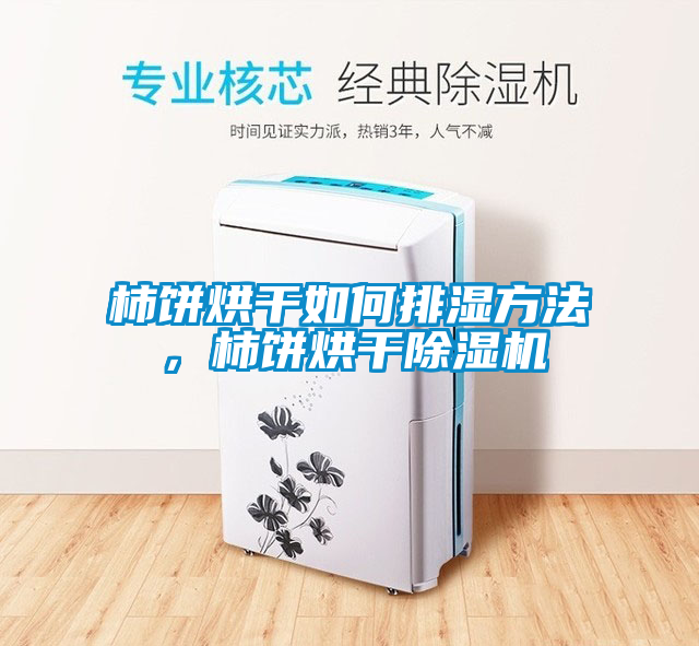 柿餅烘干如何排濕方法，柿餅烘干除濕機