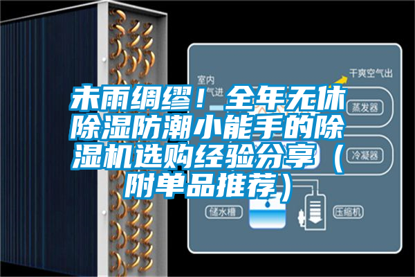 未雨綢繆！全年無休除濕防潮小能手的除濕機(jī)選購經(jīng)驗(yàn)分享（附單品推薦）