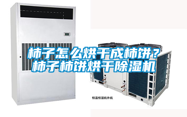 柿子怎么烘干成柿餅？柿子柿餅烘干除濕機(jī)