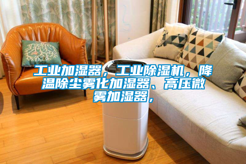 工業(yè)加濕器，工業(yè)除濕機，降溫除塵霧化加濕器、高壓微霧加濕器，