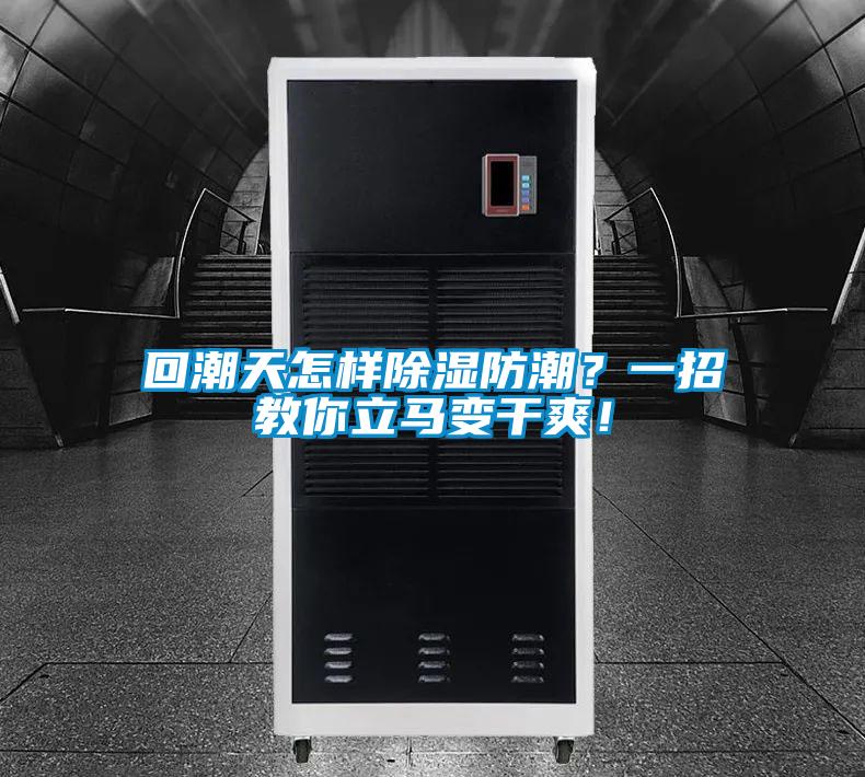 回潮天怎樣除濕防潮？一招教你立馬變干爽！