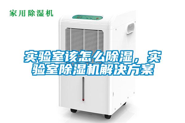 實驗室該怎么除濕，實驗室除濕機(jī)解決方案