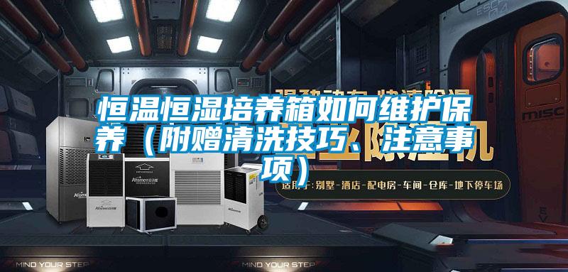 恒溫恒濕培養(yǎng)箱如何維護(hù)保養(yǎng)（附贈(zèng)清洗技巧、注意事項(xiàng)）