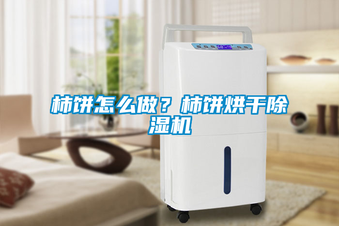 柿餅怎么做？柿餅烘干除濕機(jī)