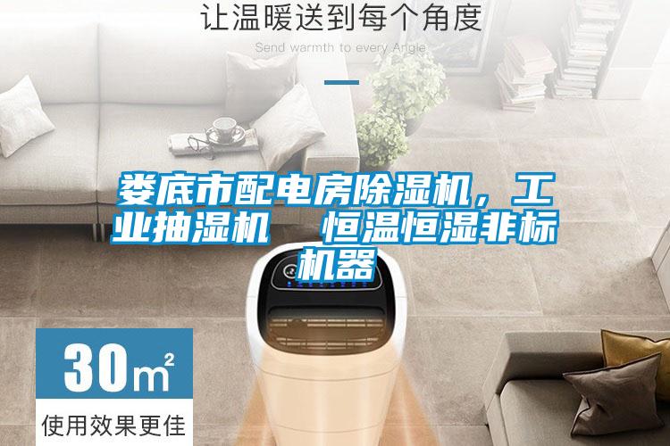 婁底市配電房除濕機(jī)，工業(yè)抽濕機(jī)  恒溫恒濕非標(biāo)機(jī)器