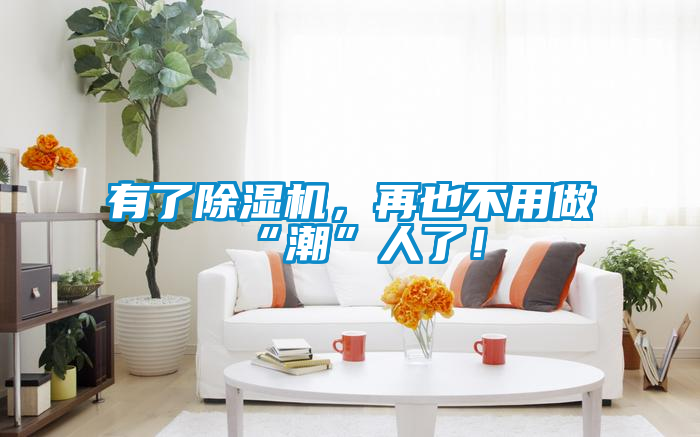 有了除濕機(jī)，再也不用做“潮”人了！