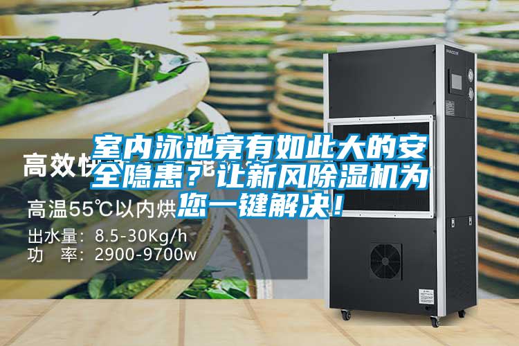 室內(nèi)泳池竟有如此大的安全隱患？讓新風(fēng)除濕機(jī)為您一鍵解決！