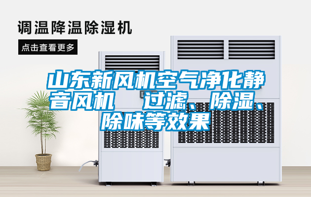 山東新風(fēng)機(jī)空氣凈化靜音風(fēng)機(jī)  過(guò)濾、除濕、除味等效果