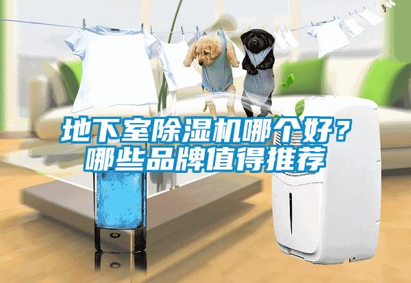 地下室除濕機(jī)哪個(gè)好？哪些品牌值得推薦