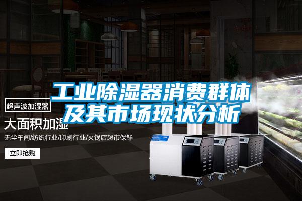 工業(yè)除濕器消費(fèi)群體及其市場(chǎng)現(xiàn)狀分析
