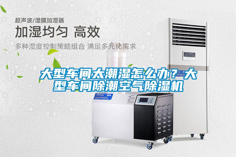 大型車間太潮濕怎么辦？大型車間除潮空氣除濕機