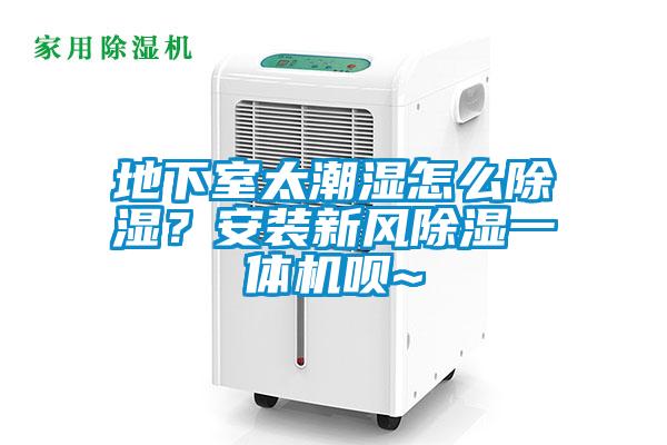 地下室太潮濕怎么除濕？安裝新風(fēng)除濕一體機唄~