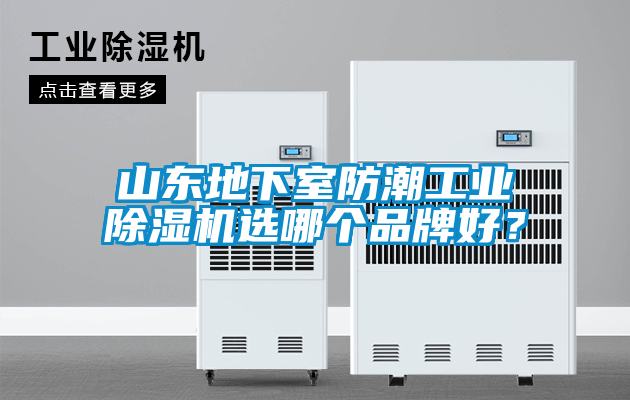 山東地下室防潮工業(yè)除濕機(jī)選哪個(gè)品牌好？
