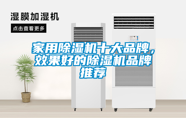 家用除濕機(jī)十大品牌，效果好的除濕機(jī)品牌推薦