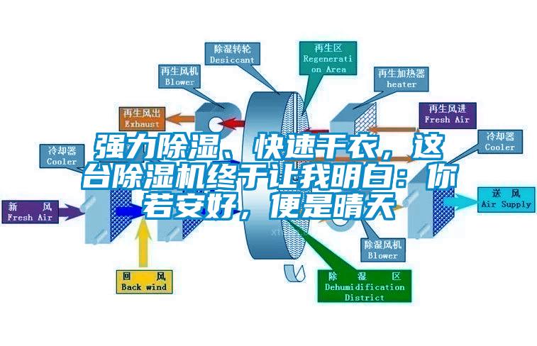 強力除濕、快速干衣，這臺除濕機終于讓我明白：你若安好，便是晴天