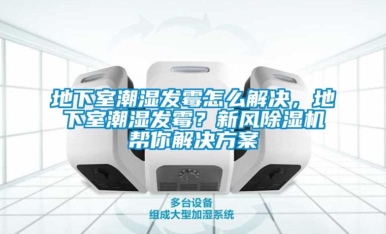 地下室潮濕發(fā)霉怎么解決，地下室潮濕發(fā)霉？新風(fēng)除濕機幫你解決方案