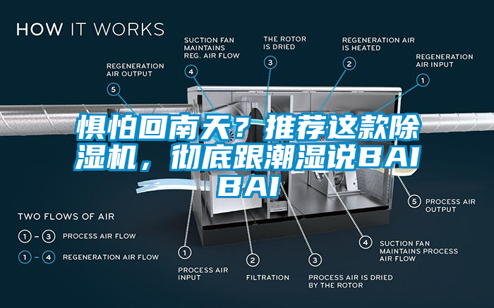 懼怕回南天？推薦這款除濕機(jī)，徹底跟潮濕說BAIBAI