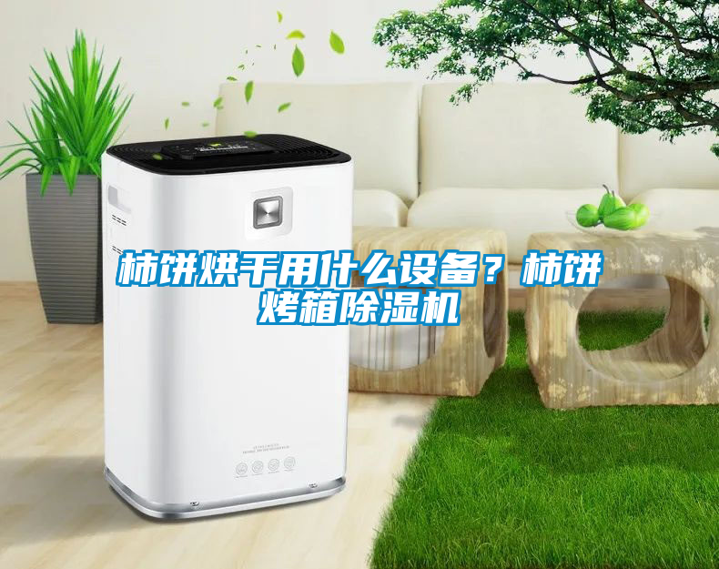 柿餅烘干用什么設(shè)備？柿餅烤箱除濕機(jī)