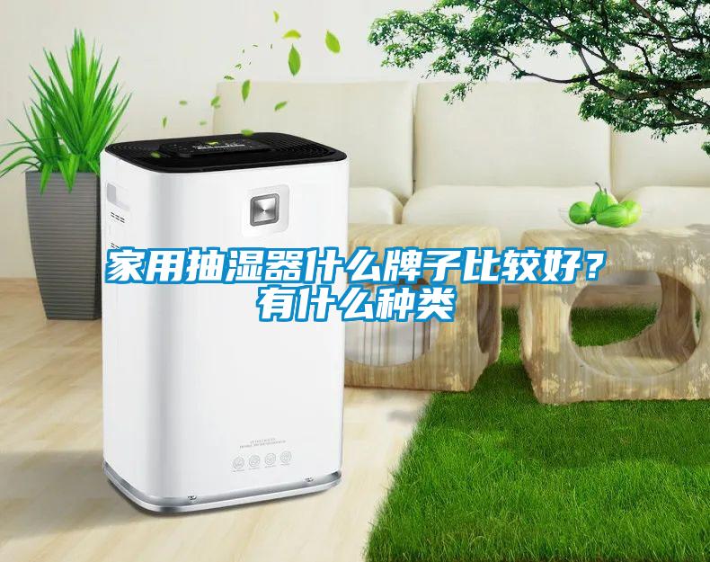家用抽濕器什么牌子比較好？有什么種類