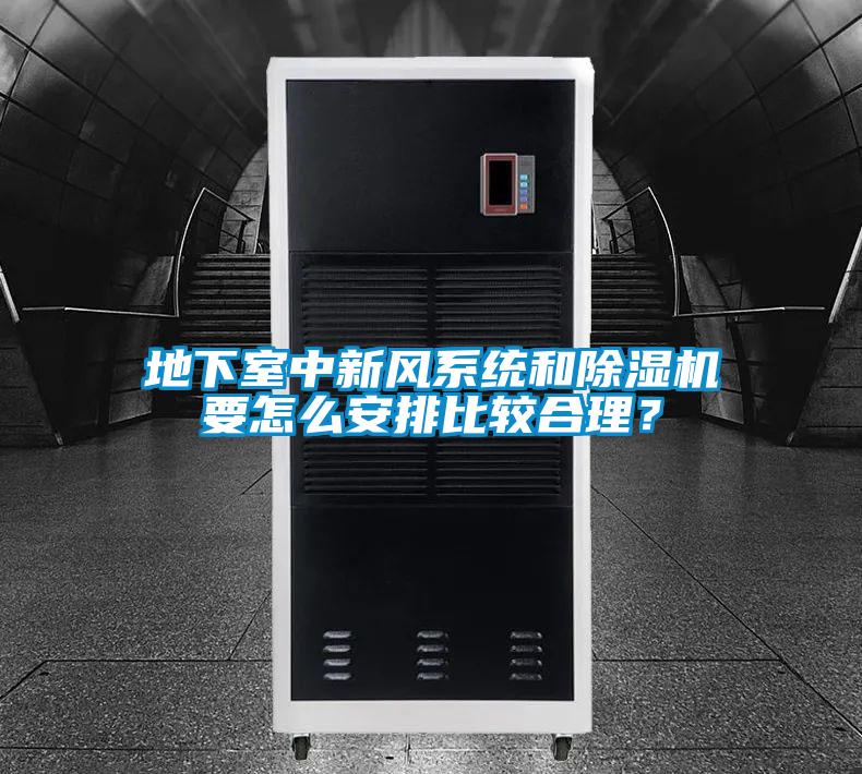地下室中新風(fēng)系統(tǒng)和除濕機(jī)要怎么安排比較合理？