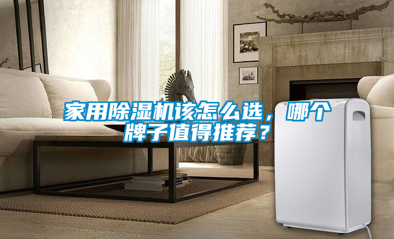 家用除濕機(jī)該怎么選，哪個(gè)牌子值得推薦？