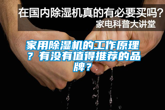 家用除濕機(jī)的工作原理？有沒有值得推薦的品牌？