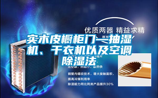 實木皮櫥柜門—抽濕機、干衣機以及空調(diào)除濕法