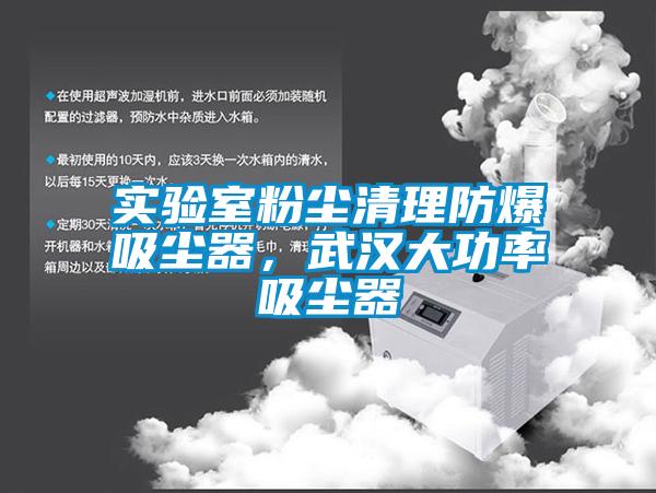 實驗室粉塵清理防爆吸塵器，武漢大功率吸塵器