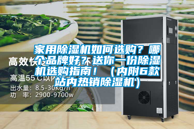 家用除濕機如何選購？哪個品牌好？送你一份除濕機選購指南?。▋?nèi)附6款站內(nèi)熱銷除濕機）