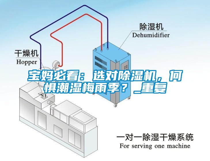 寶媽必看：選對除濕機，何懼潮濕梅雨季？_重復(fù)