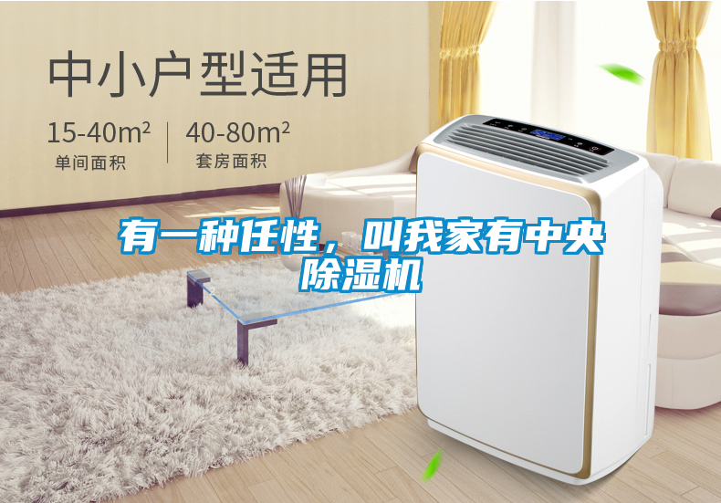 有一種任性，叫我家有中央除濕機(jī)