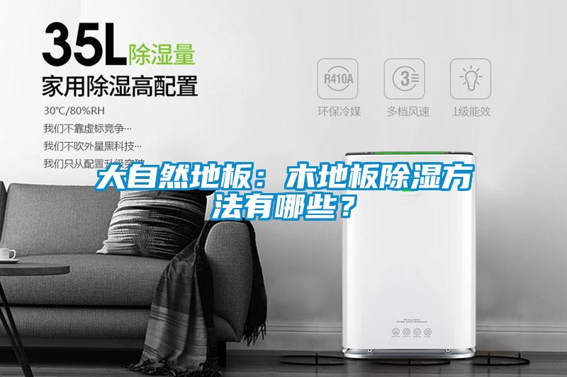 大自然地板：木地板除濕方法有哪些？