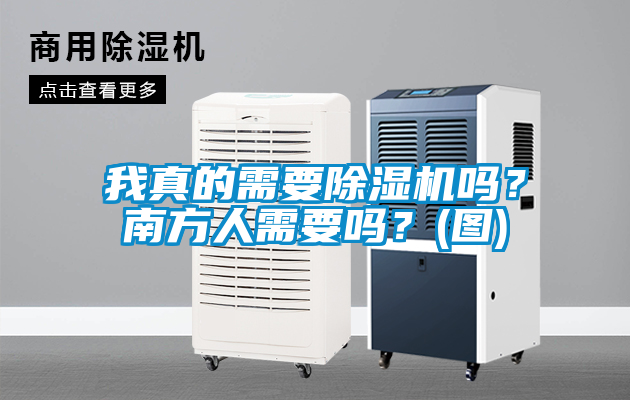 我真的需要除濕機嗎？南方人需要嗎？(圖)