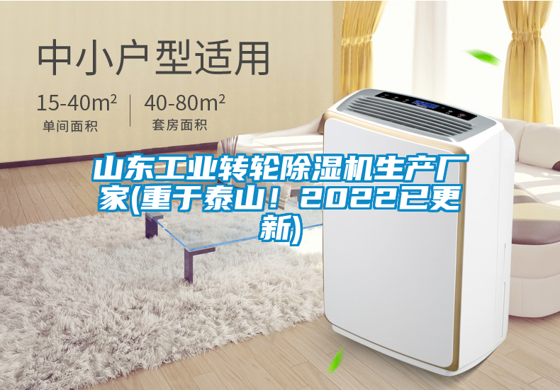 山東工業(yè)轉(zhuǎn)輪除濕機生產(chǎn)廠家(重于泰山！2022已更新)
