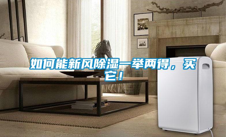 如何能新風(fēng)除濕一舉兩得，買它！